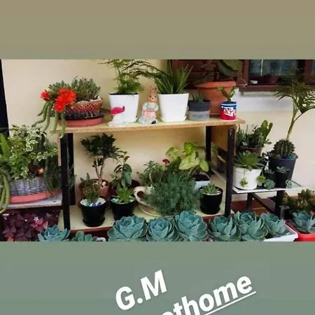 Cibuku Villa Berat