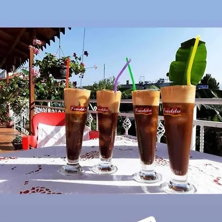 Cibuku Villa Berat